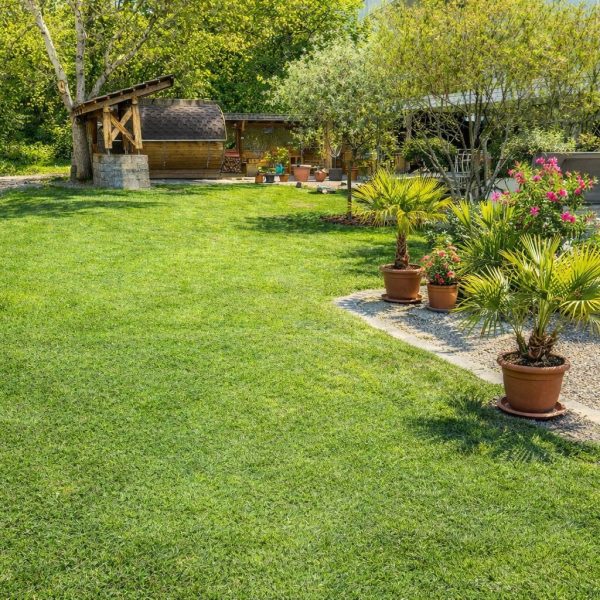 Waldlusti – Garten für Spiel und Spass